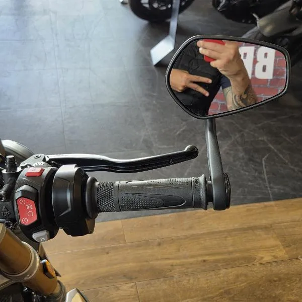 SPEED TRIPLE 1200 RS
