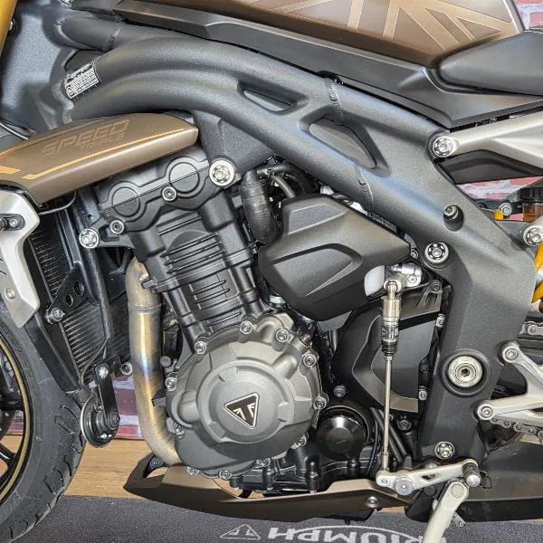 SPEED TRIPLE 1200 RS