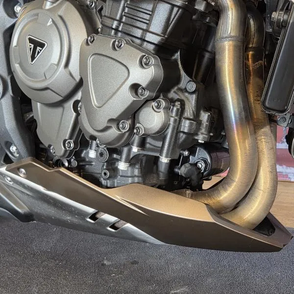 SPEED TRIPLE 1200 RS