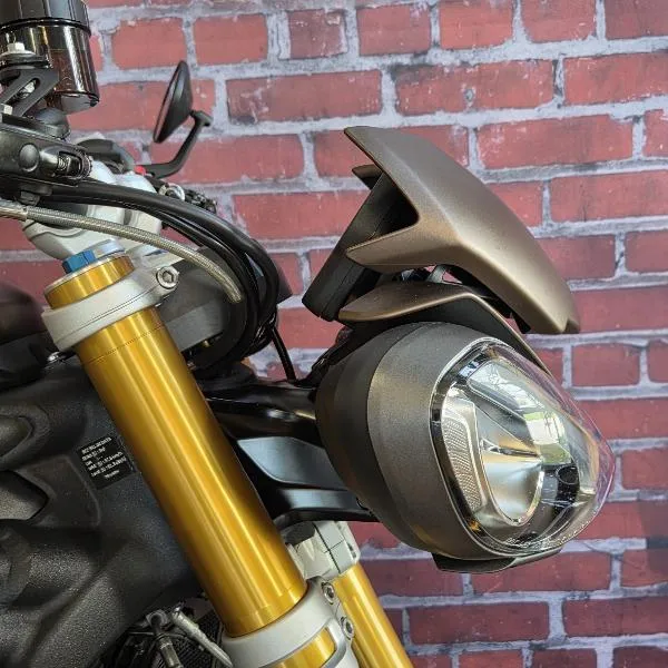 SPEED TRIPLE 1200 RS
