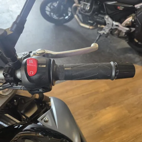 XJ6N