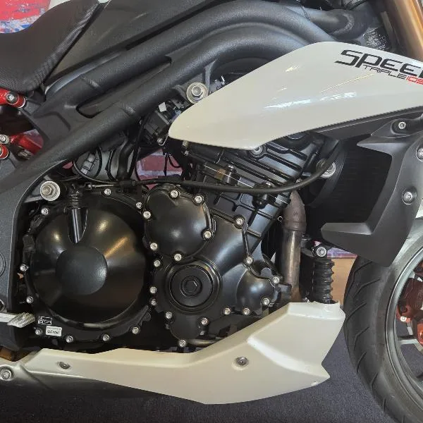 SPEED TRIPLE 1050