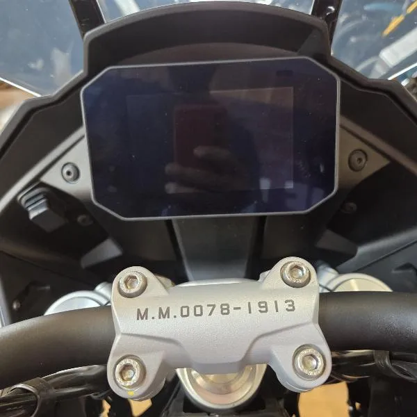 V100  MANDELLO