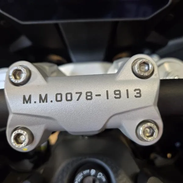 V100  MANDELLO