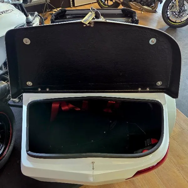 SideCar Speed Triple 1050
