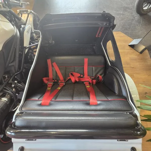 SideCar Speed Triple 1050