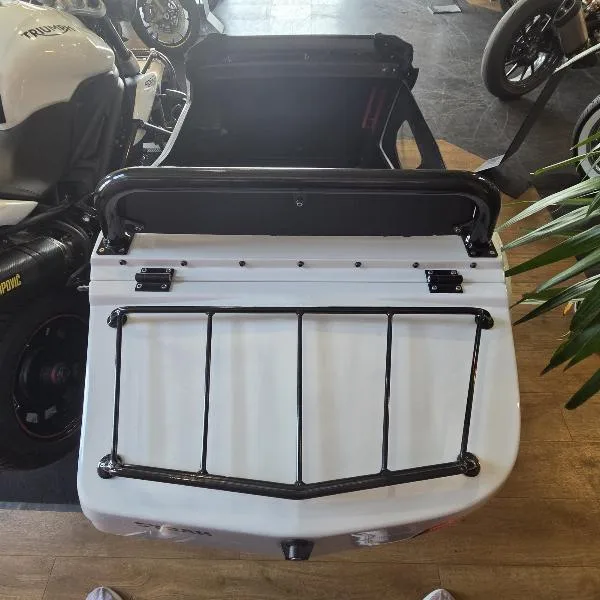 SideCar Speed Triple 1050
