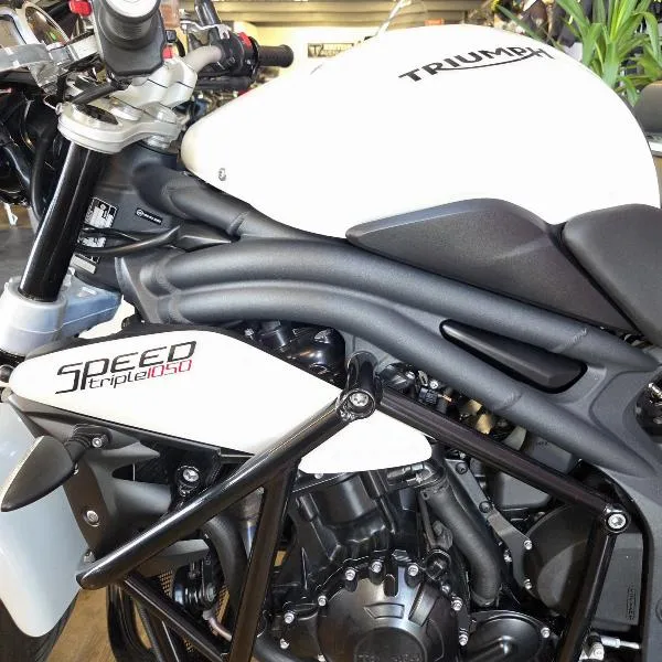 SideCar Speed Triple 1050