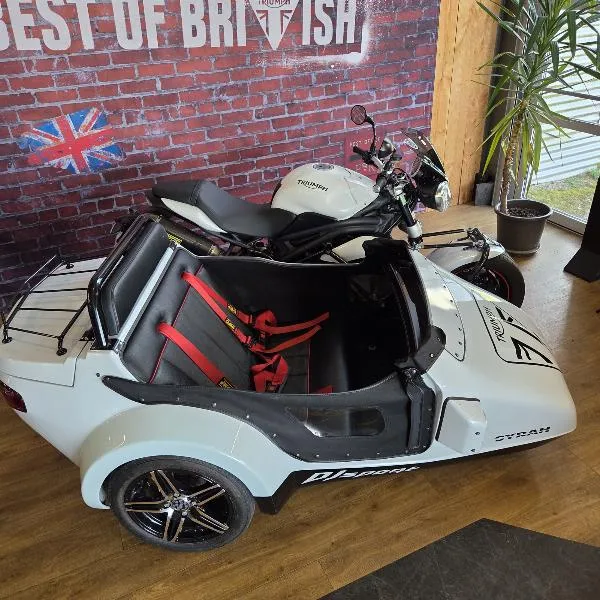 SideCar Speed Triple 1050