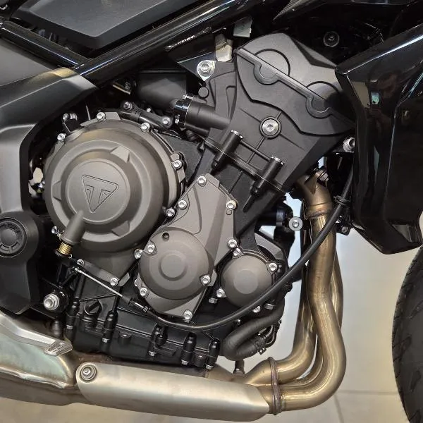 TIGER SPORT 660