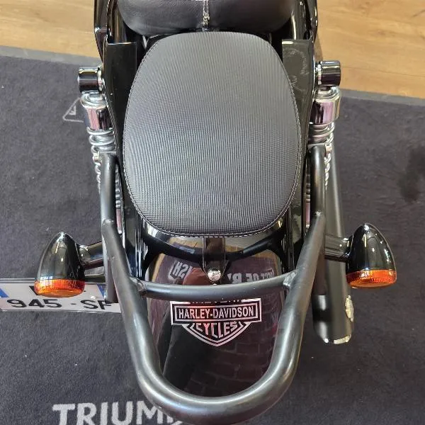SPORTSTER FORTYEIGHT 1200