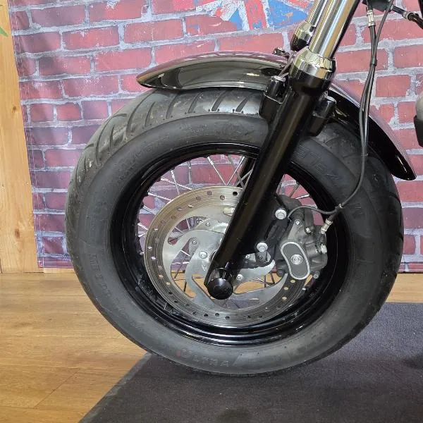 SPORTSTER FORTYEIGHT 1200