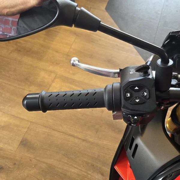 TUONO 1100 V4 FACTORY