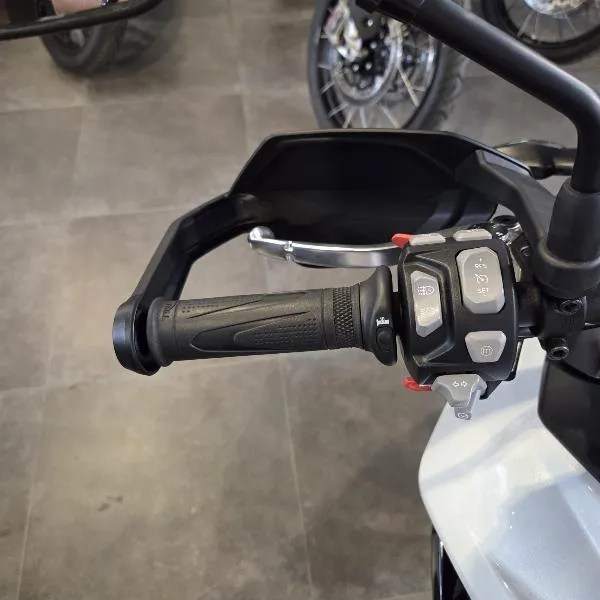 Tiger 900 Alpine Edition