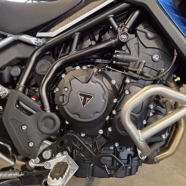 Tiger 900 Alpine Edition