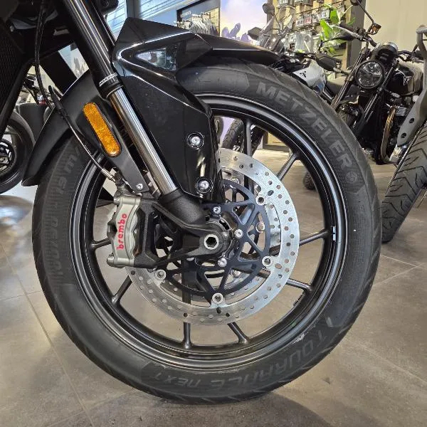 Tiger 900 Alpine Edition