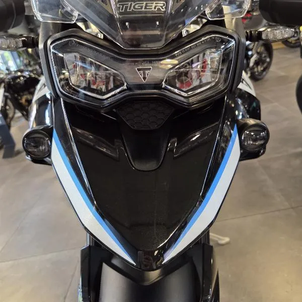 Tiger 900 Alpine Edition