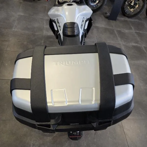 Tiger 900 GT Pro A2