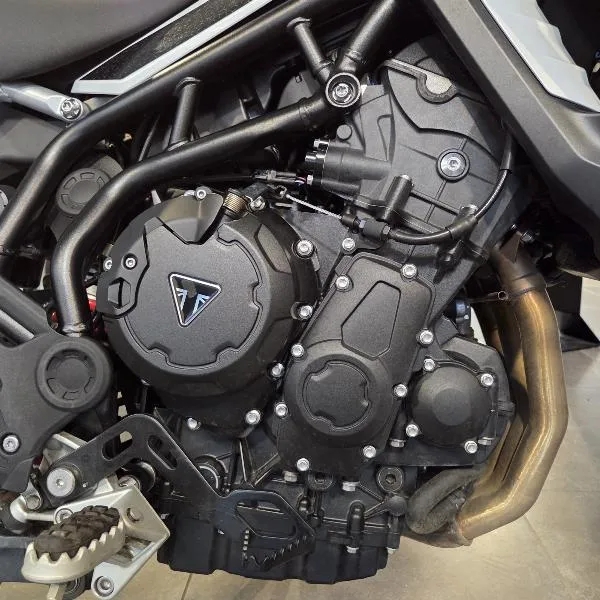 Tiger 900 GT Pro A2