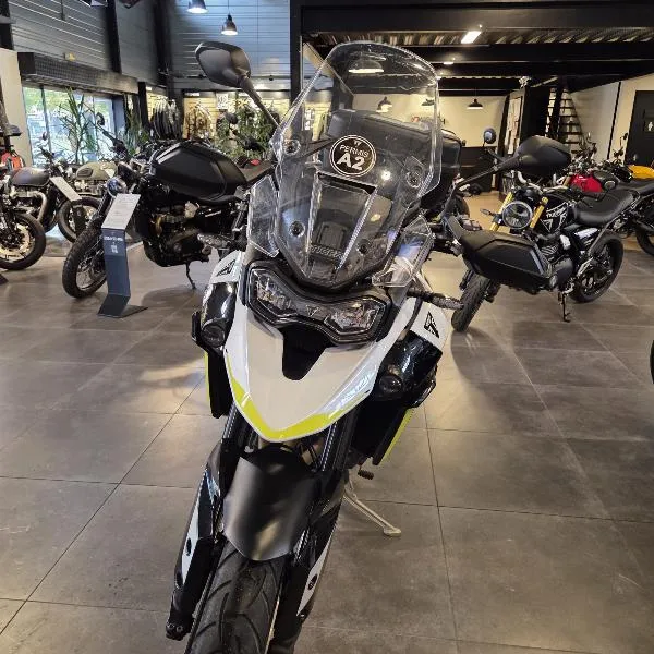 Tiger 900 GT Pro A2