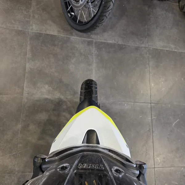Tiger 900 GT Pro A2