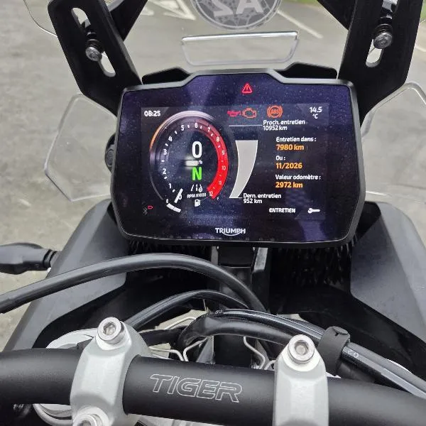 Tiger 900 GT Pro A2