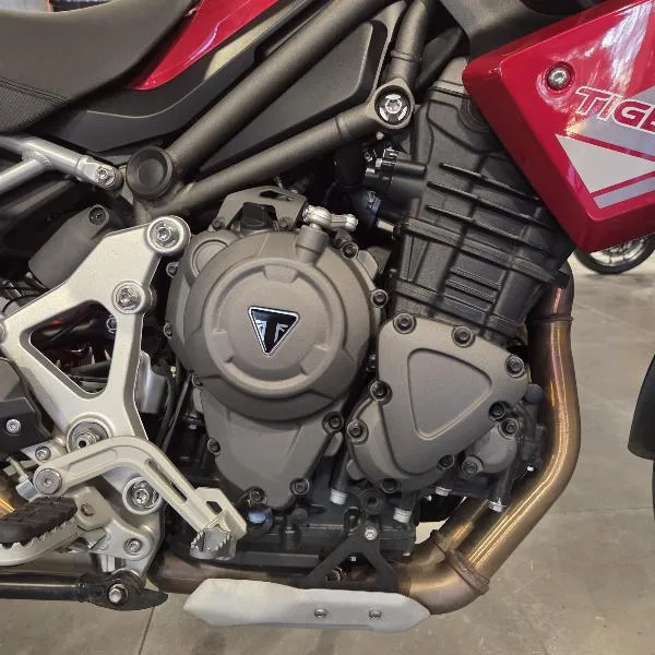 TIGER 1200 GT PRO