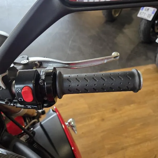 SPEED TRIPLE 1050