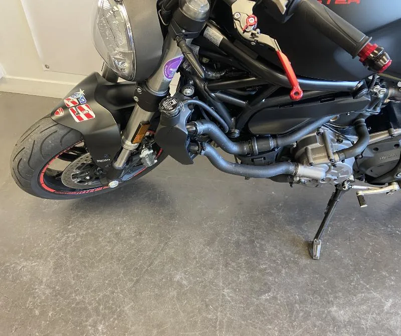 MONSTER 821