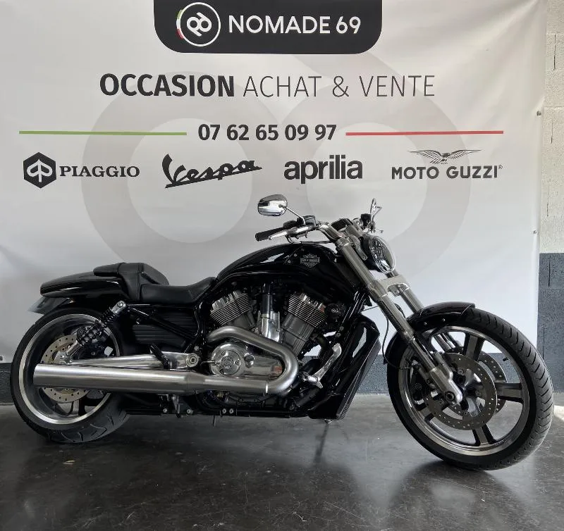 VROD MUSCLE 1250 2009