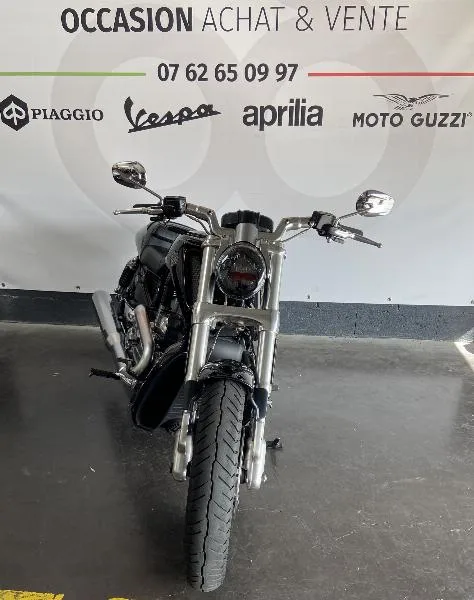 VROD MUSCLE 1250