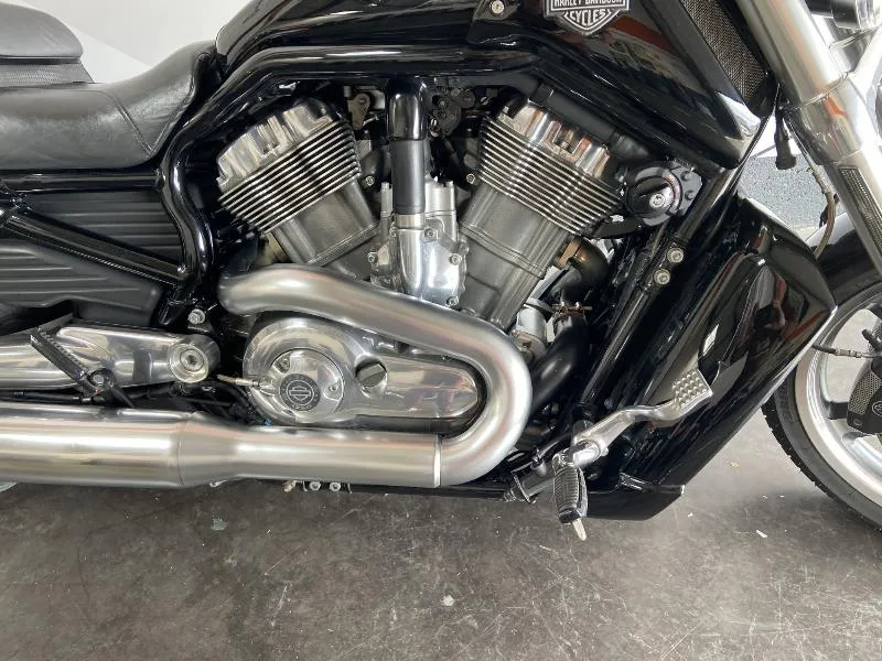 VROD MUSCLE 1250
