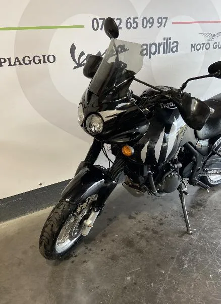 TIGER 955