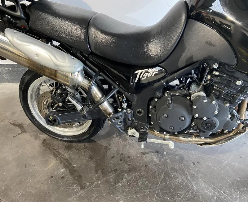 TIGER 955