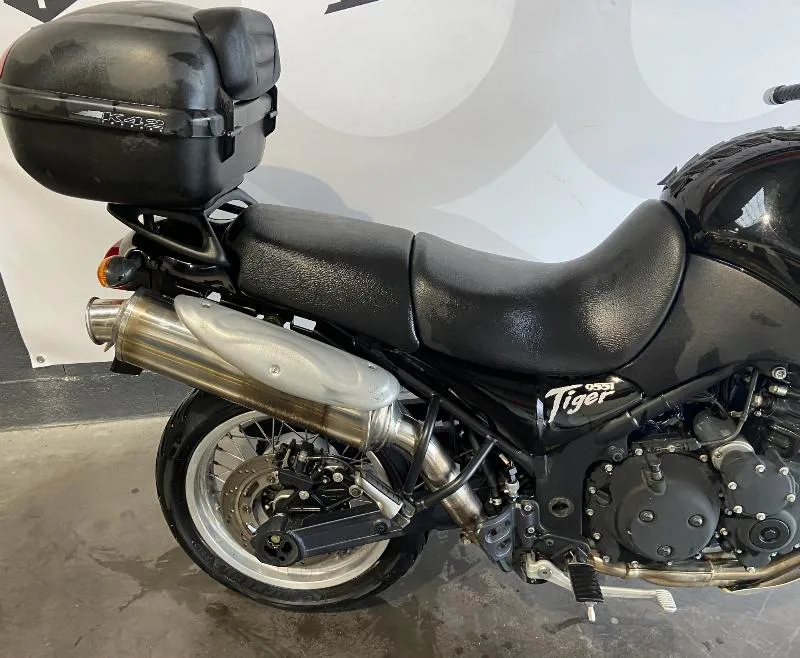 TIGER 955