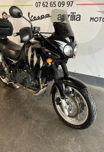 TIGER 955