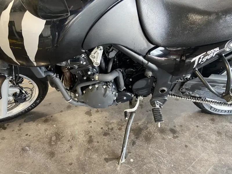 TIGER 955