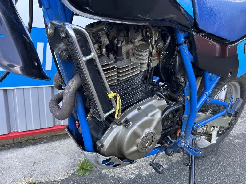 DR 600