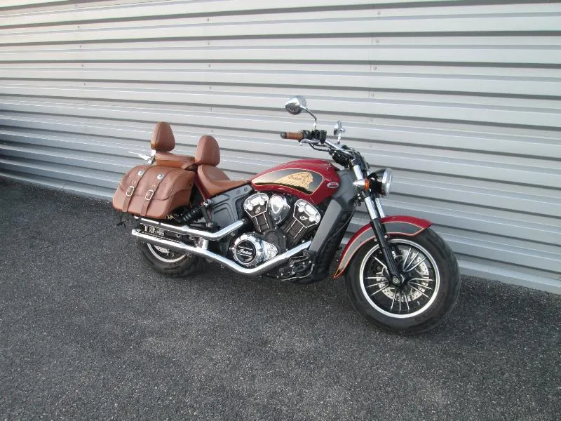 SCOUT 1133 2019