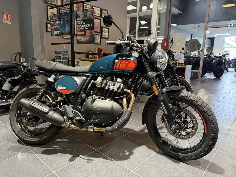 BEAR 650