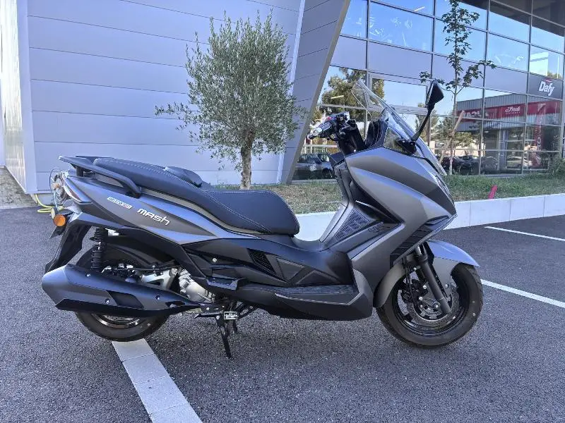 BELENA 300