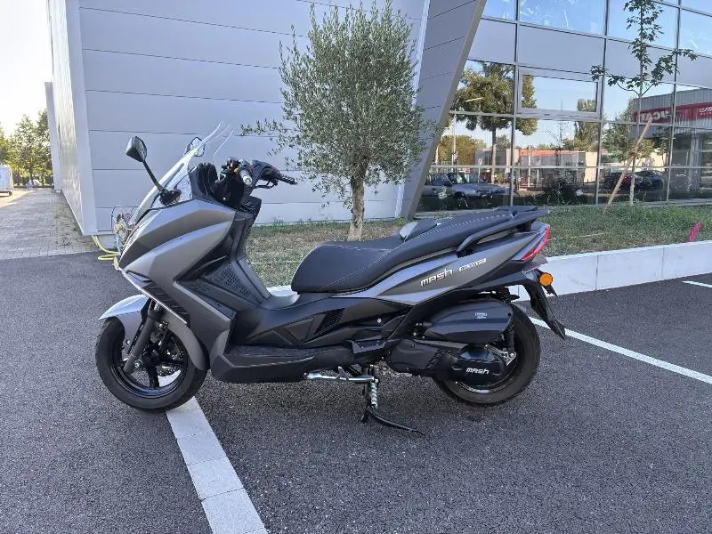 BELENA 300