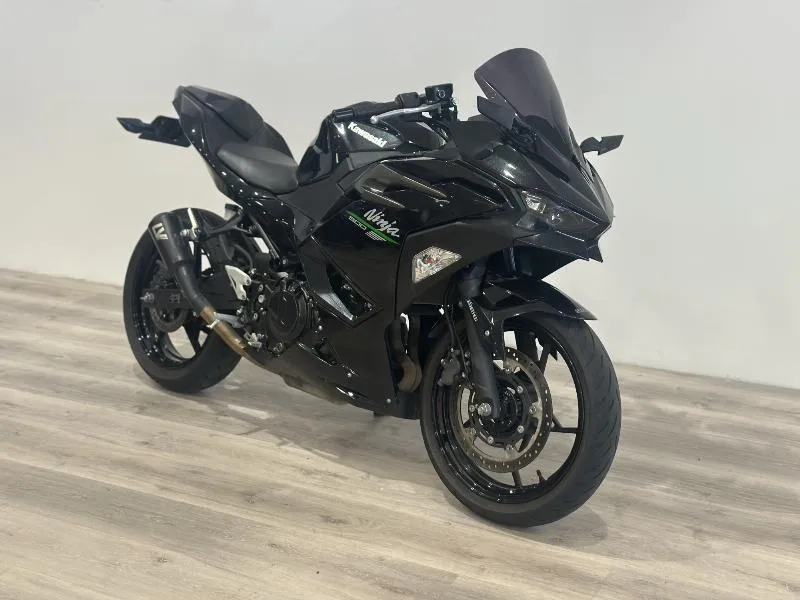 Ninja 500 2024