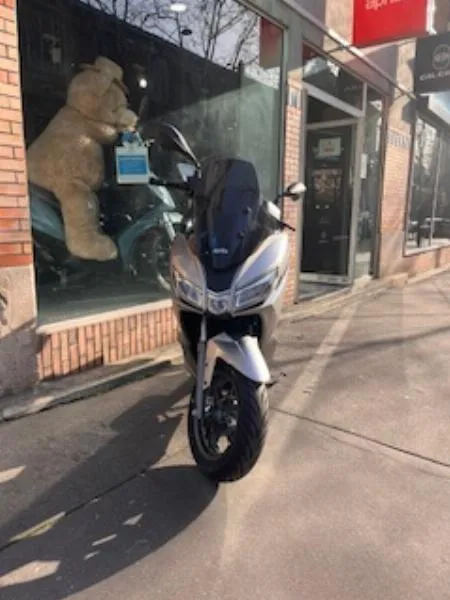 SXR 50