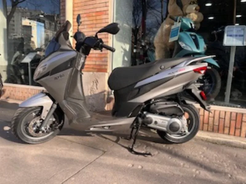 SXR 50