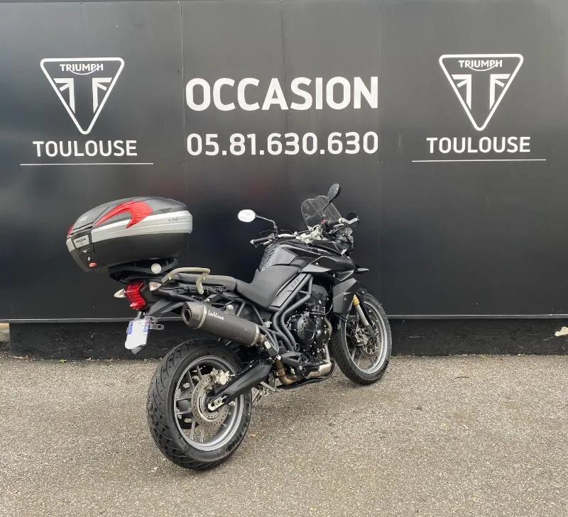 TIGER 800 ABS
