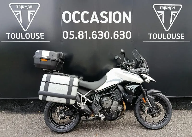 Tiger 900 GT PRO