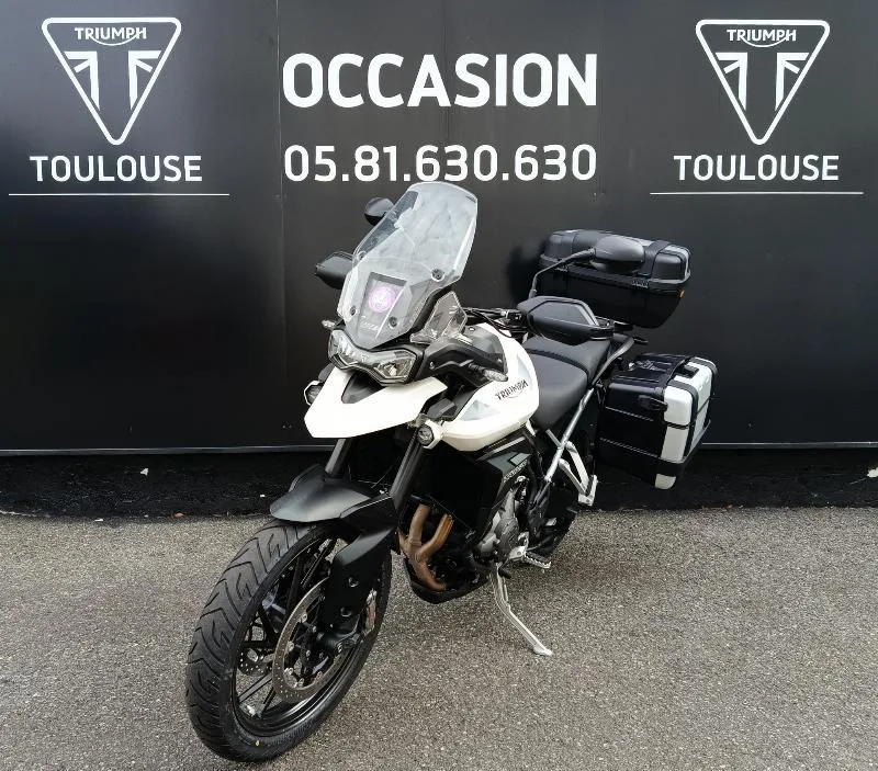 Tiger 900 GT PRO