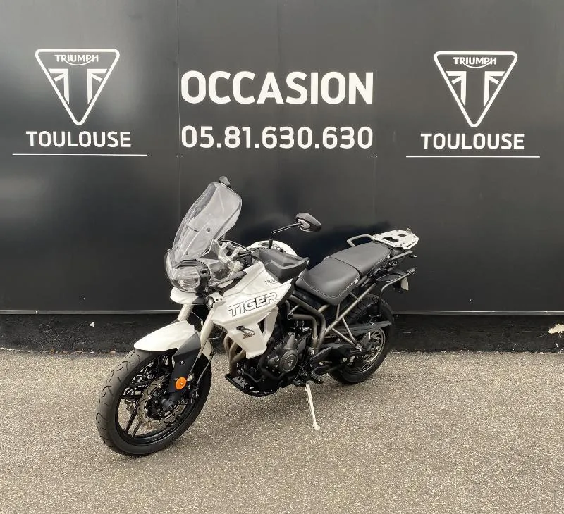 TIGER 800 XRT