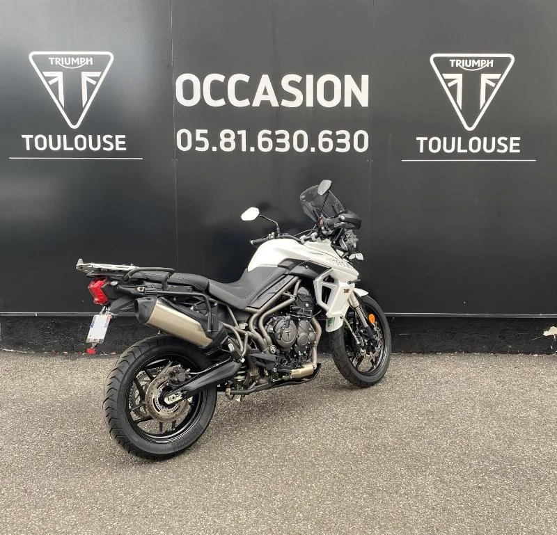 TIGER 800 XRT